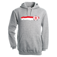 KSV Hoodie Fahne grau Erw. L