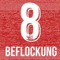 KSV Beflockung Rothweiler #33