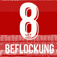 KSV Beflockung Kopf #3