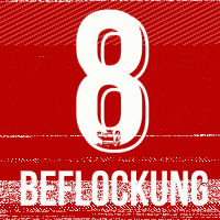 KSV Beflockung Sauer #34
