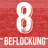KSV Beflockung Damer #13