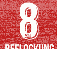 KSV Beflockung Knipping #4